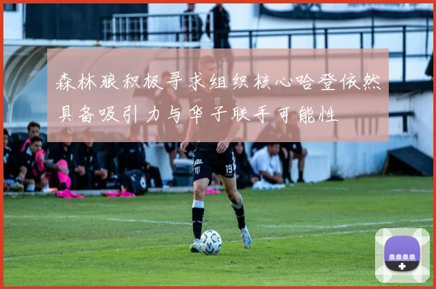 森林狼积极寻求组织核心哈登依然具备吸引力与华子联手可能性