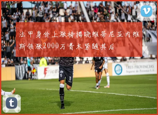 法甲身价上涨榜揭晓维蒂尼亚内维斯领涨2000万青木紧随其后