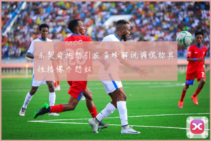 东契奇抱怨引发黄蜂解说调侃称其性格像个怨妇