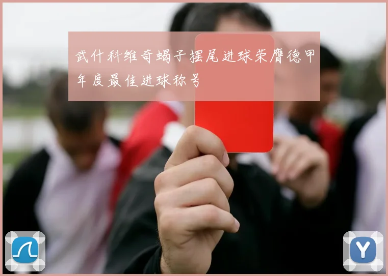 武什科维奇蝎子摆尾进球荣膺德甲年度最佳进球称号